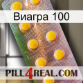 Виагра 100 new11